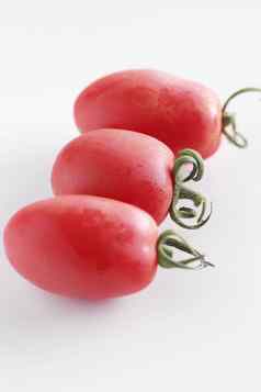 新鲜的西红柿白色