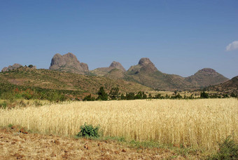 景观埃塞俄比亚