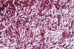 紫罗兰色的地毯