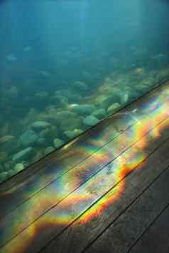 彩虹棱镜水族馆