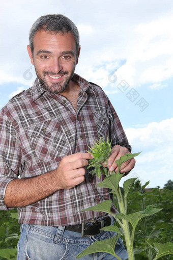 肖像男人。植物