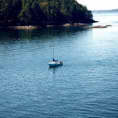 渡船骑温哥华维多利亚温哥华岛屿