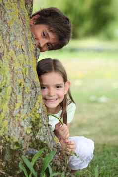 孩子们隐藏树