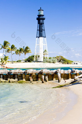 西斯波罗灯塔鲳参鱼海滩佛罗里达美国