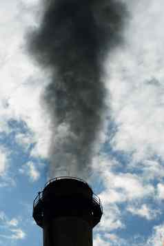 煤炭植物污染
