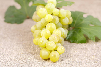 白色葡萄品种马斯喀特