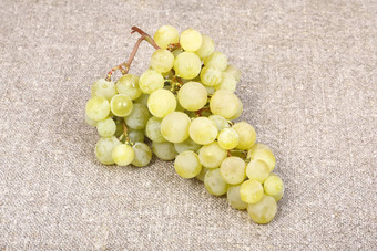 白色葡萄品种马斯喀特