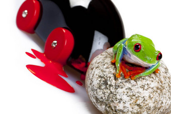 绿色红眼的青蛙