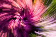 色彩斑斓的摘要背景花花园螺旋
