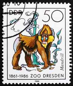 邮资邮票民主德国山魈猴子