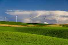 风涡轮机绿色字段哥伦比亚县华盛顿美国