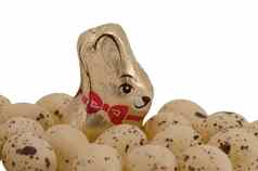巧克力复活节兔子糖果鸡蛋孤立的