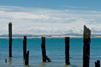 美丽的腐烂的系泊海滩柱子