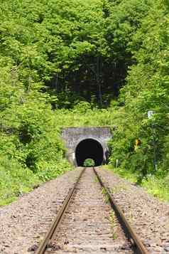 隧道新鲜的绿色