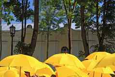 黄色的雨伞小镇街