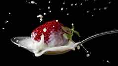 红色的成熟的草莓下降勺子牛奶