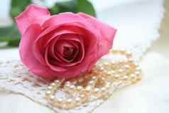粉红色的玫瑰珍珠花边