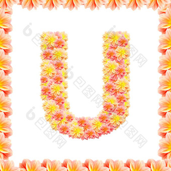 花<strong>字母</strong>孤立的白色火焰