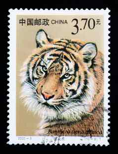 中国约邮票印刷中国显示豹属tigrisaltaica系列约