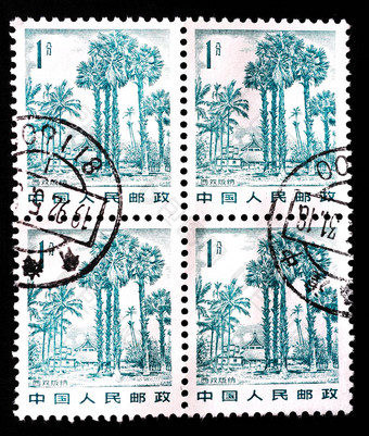 中国约邮票印刷中国显示景观西双版纳约
