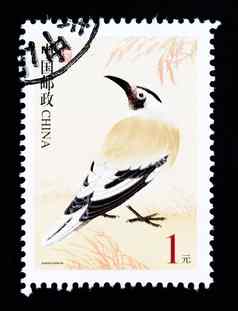 中国约邮票印刷中国显示图像野生鸟约