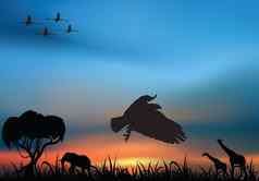 非洲野生动物日落