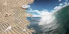 沙子海滩贝壳海洋波背景