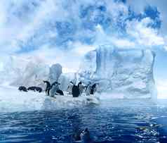 企鹅冰浮冰