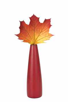 单秋天枫木叶红色的花瓶