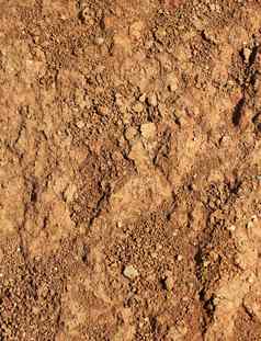 干农业棕色（的）土壤