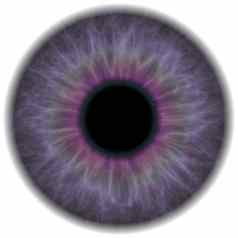 紫色的眼睛虹膜