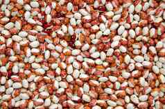干豆子健康的营养食物背景