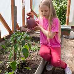 女孩浇水番茄植物