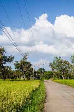 大米场路