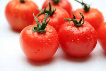 集团西红柿