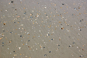 贝壳沙子