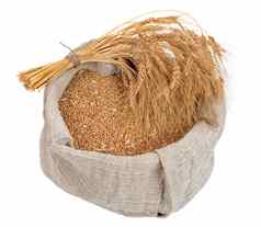 袋小麦粮食耳朵小麦