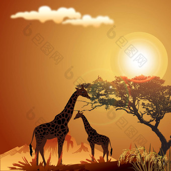 轮廓长颈鹿丛林景观太阳