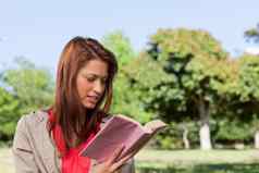 女人阅读书阳光明媚的草原区域