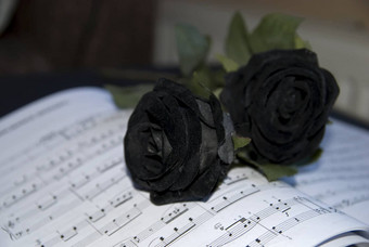 黑色的玫瑰表音乐