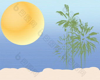 棕榈树热带
