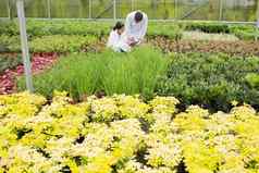 人实验室外套检查植物