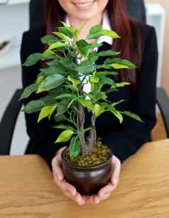 特写镜头高加索人女商人持有植物