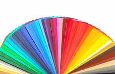 色彩斑斓的设计师斯沃琪调色板指南图表光谱