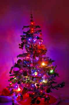 圣诞节树发光的黑暗