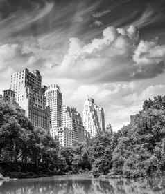 纽约城市曼哈顿摩天大楼中央公园三