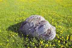 自然花岗岩石头春天草地
