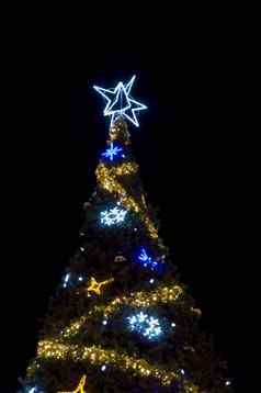 大明星圣诞节树
