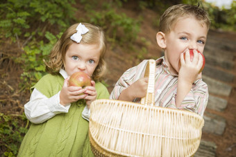 可爱的孩子们吃红色的苹果