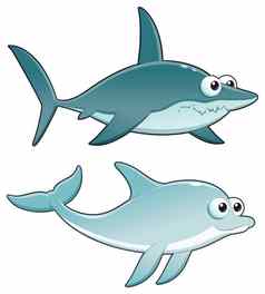 海豚鲨鱼
